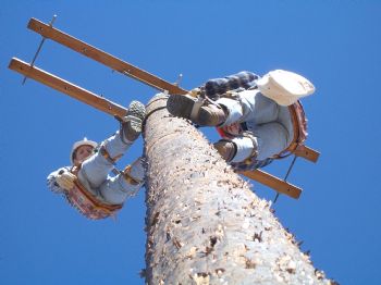 charlesT profile photo