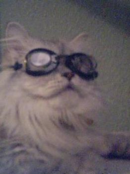 zeus23 profile photo