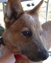 can_chaser19 profile photo