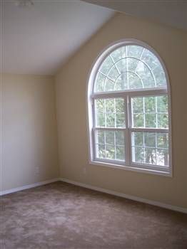 vamush profile photo