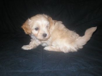 teranq45 profile photo