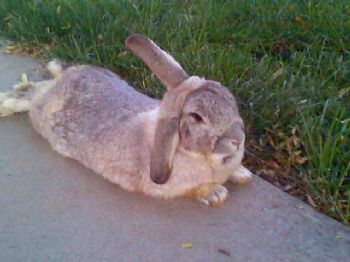 bmcdill profile photo