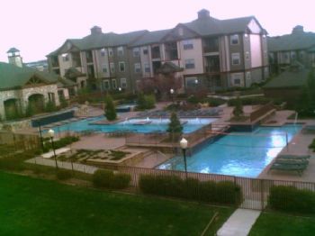 81monkeys profile photo