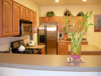 EZGoingBest profile photo