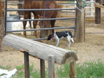 mag_675 profile photo