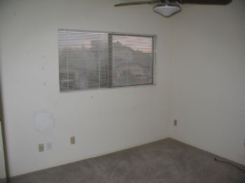 tlevans profile photo