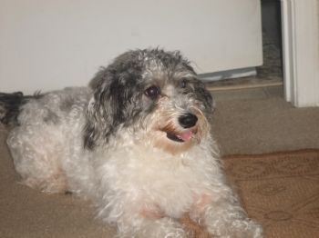 Drolnick profile photo