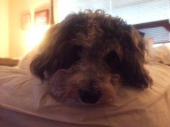 Drolnick profile photo