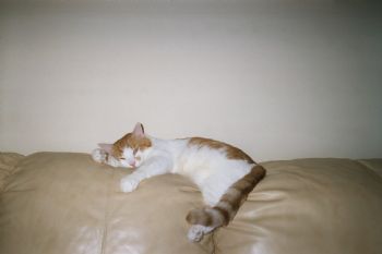 huesmanr profile photo