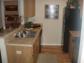 hbartels profile photo