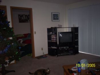 allisonr profile photo