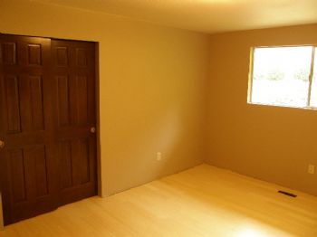 dnikol profile photo