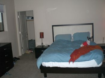 teethdh profile photo