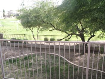 halaao profile photo