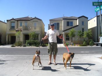 ozzieo2006 profile photo