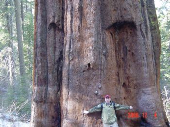 MikeB313 profile photo