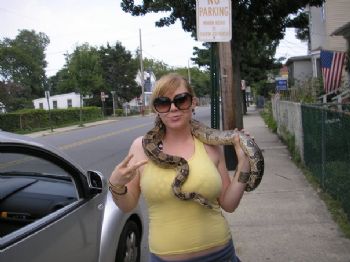 wfresh profile photo