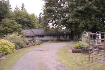 sher-a-bear profile photo