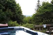 sher-a-bear profile photo