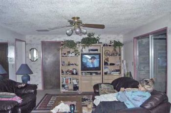 sher-a-bear profile photo