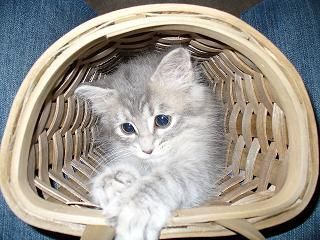 jlynie82 profile photo