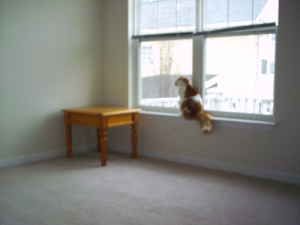 aerosarah71 profile photo