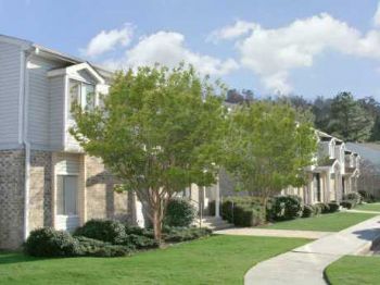 letour1 profile photo