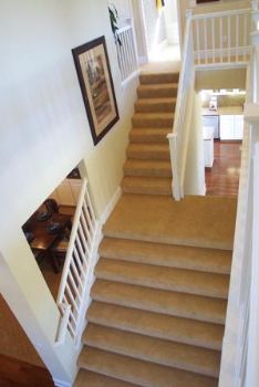 tedster1973 profile photo