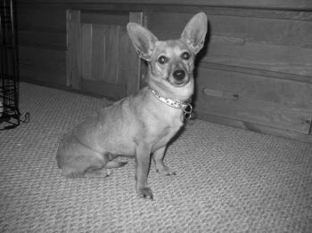 kelly09 profile photo