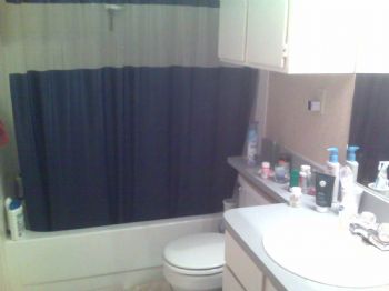 bikecd profile photo