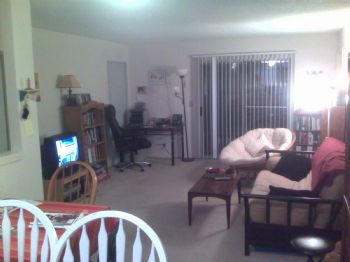 bikecd profile photo