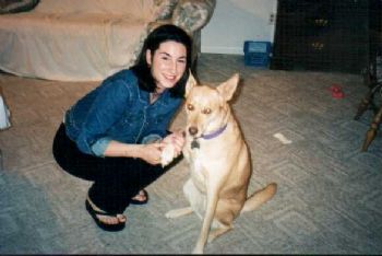 FlymeAway24 profile photo