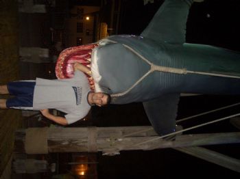 csabauveges profile photo
