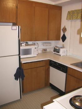 dynamicp profile photo