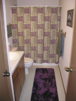 dynamicp profile photo