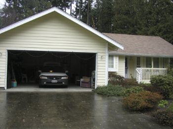 dynamicp profile photo