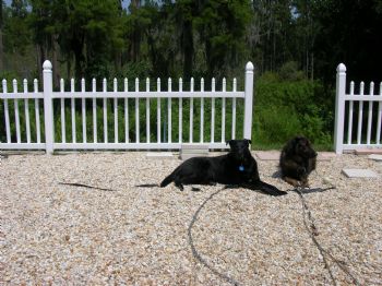 carol59 profile photo