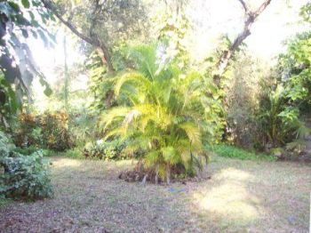 georgee profile photo