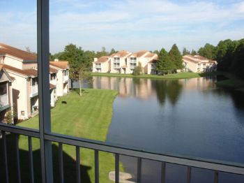 NiceLakeView profile photo