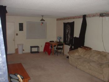 Paradoxx profile photo