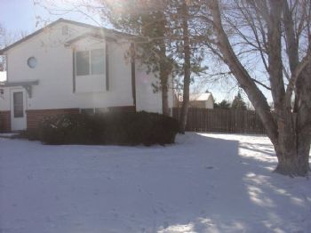 Paradoxx profile photo