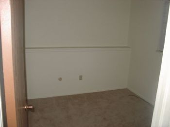 Paradoxx profile photo