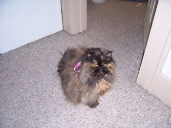 kristin918 profile photo