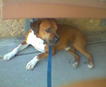 grannie1515 profile photo