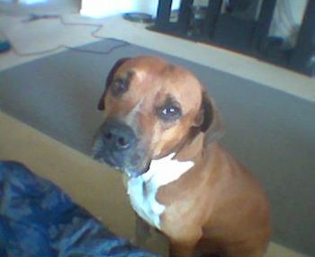 grannie1515 profile photo