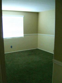 patee333 profile photo