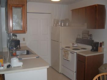 showdlt profile photo