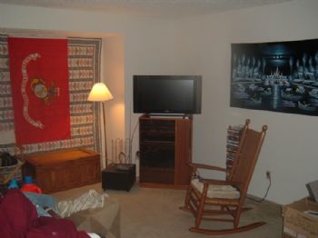 showdlt profile photo