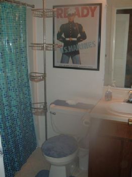 showdlt profile photo