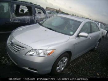 jasminefish profile photo